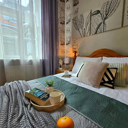 Old Town Casa Donna Cozy Five Bedroom With Stunning Old Town Views-steps From Dome Square And Presidential Castle-friends & Family Riga